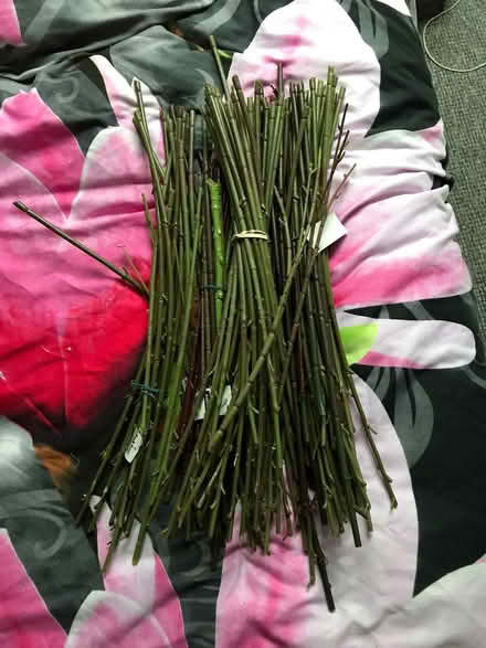 Photo of free Plastic flower stems (Hangleton BN3) #1