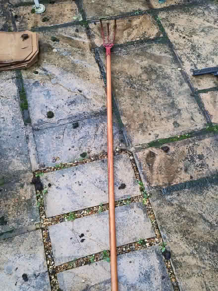 Photo of free Garden tool (Isleworth) #1