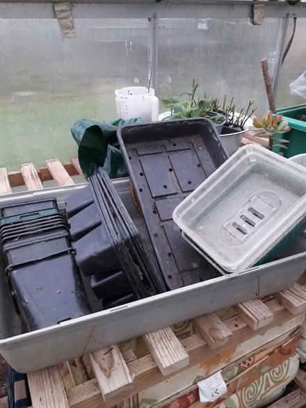 Photo of free Seed Trays (CT3) #1