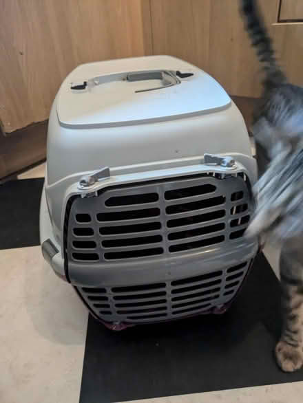 Photo of free Cat box (Stadhampton, OX44) #1