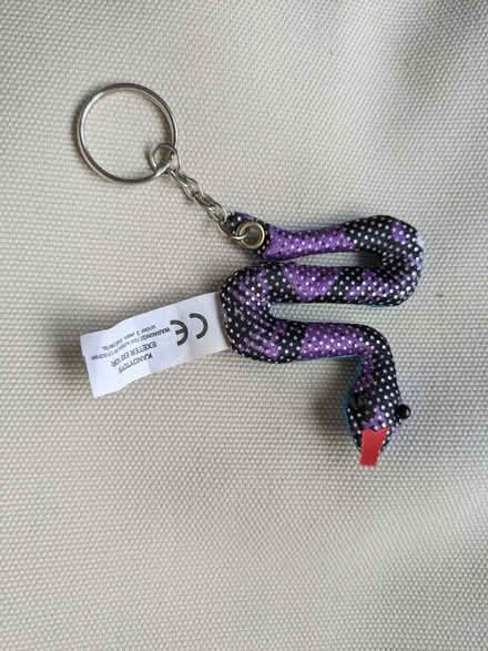 Photo of free Snake keyring (Kidlington OX5) #1