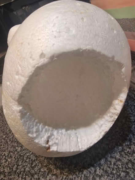 Photo of free Polystyrene head (Homerton E9) #2