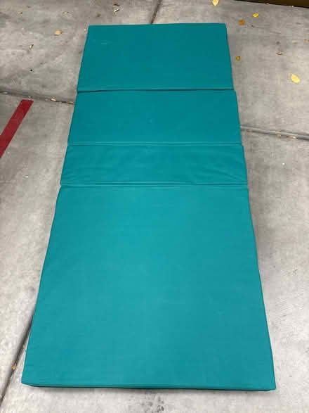 Photo of free Medical bed mattress (Mantelli) #1