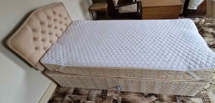 Photo of free Single Divan Bed & Headboard (Plumstead, SE18) #1