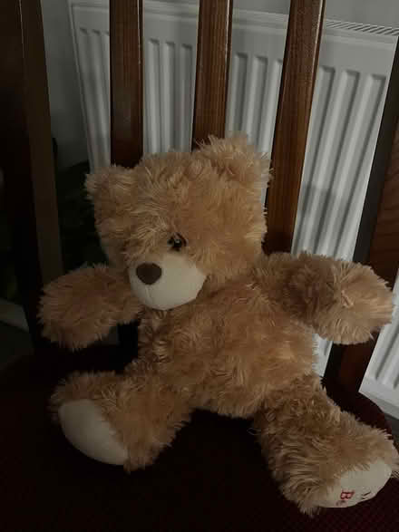 Photo of free Toy Bear (Winnersh RG41) #1