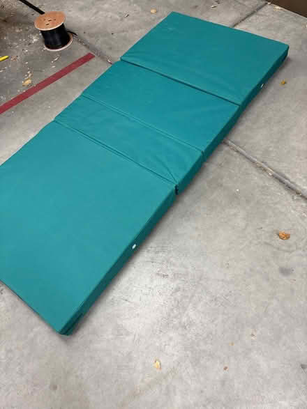 Photo of free Medical bed mattress (Mantelli) #2