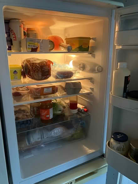 Photo of free Under counter fridge (Orpington) #2