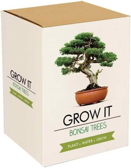Photo of free Gift Bonsai Tree (from Moonpig) (Oldfield Park) #1