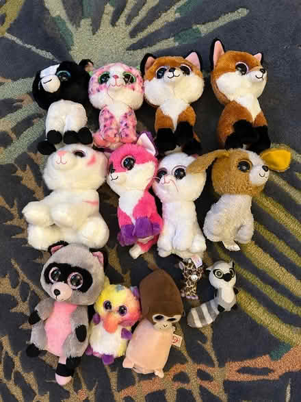 Photo of free Assorted Beanie Boos (Hanwell W7) #1
