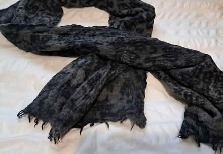 Photo of free Ladies scarf (Boughton Monchelsea ME17) #2