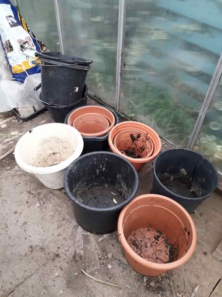 Photo of free Buckets and Large Plant Pots (CT3) #3