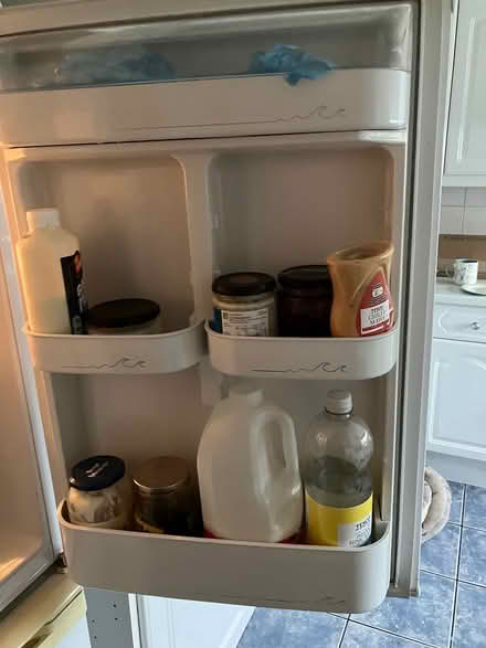 Photo of free Under counter fridge (Orpington) #3