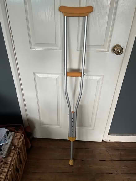 Photo of free Single crutch (Teignmouth TQ14) #1