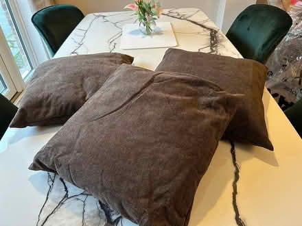 Photo of free brown cushions (West horndon) #1