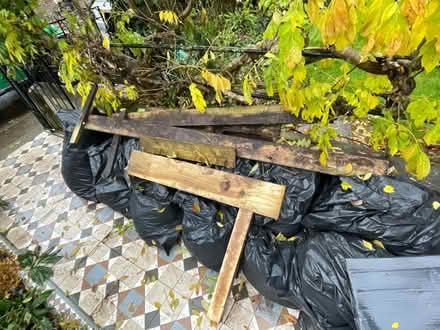 Photo of free Wood - garden bordering (Osney OX2) #1