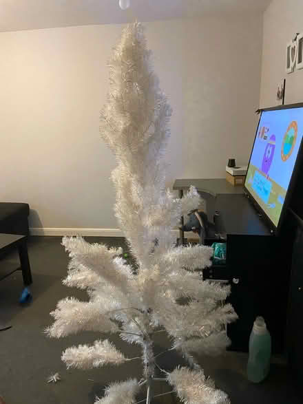 Photo of free White Christmas tree (Muirhouse, EH4) #2