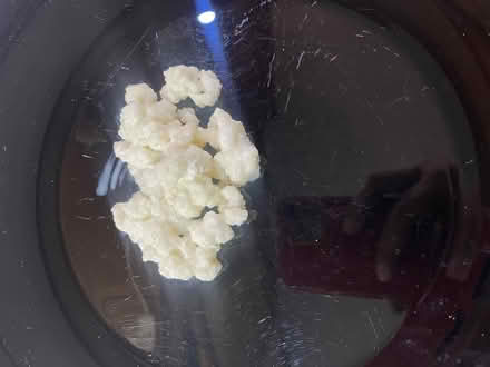 Photo of free Kefir Grains (Cheadle Heath SK8) #2