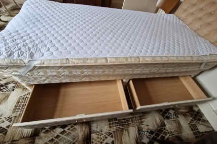 Photo of free Single Divan Bed & Headboard (Plumstead, SE18) #2
