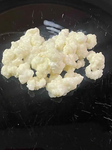 Photo of free Kefir Grains (Cheadle Heath SK8) #1