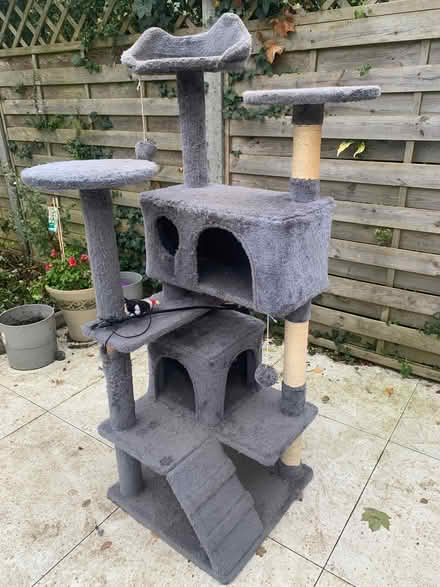 Photo of free Cat tree (Lee SE12) #1