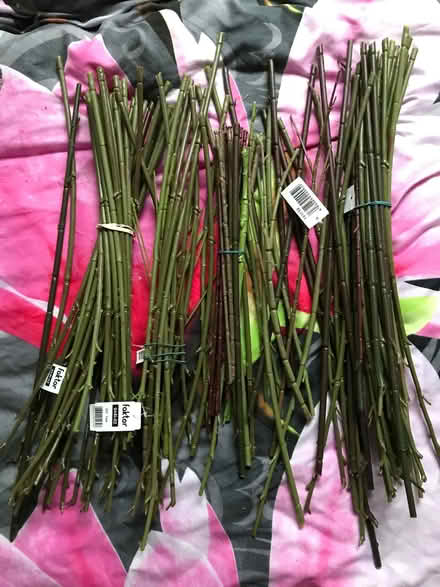 Photo of free Plastic flower stems (Hangleton BN3) #2
