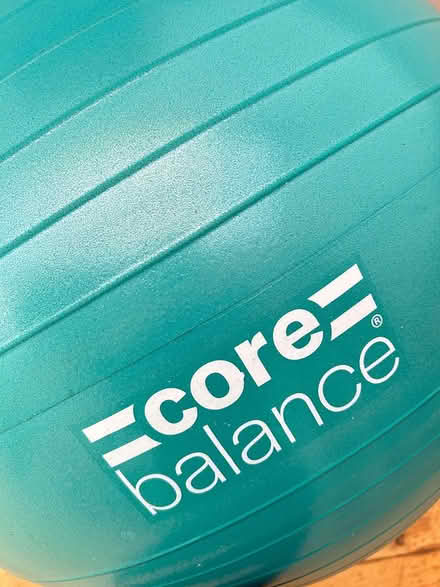 Photo of free exercise ball (55cm) and step (BH231HG) #2