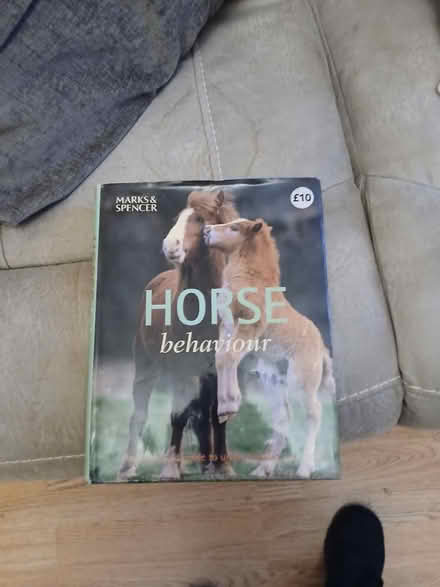 Photo of free Horse book (Gillingham ME7) #2