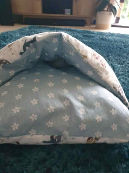 Photo of free Cat bed/hood (SM7 2) #2