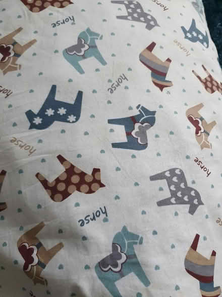 Photo of free Cat bed/hood (SM7 2) #3