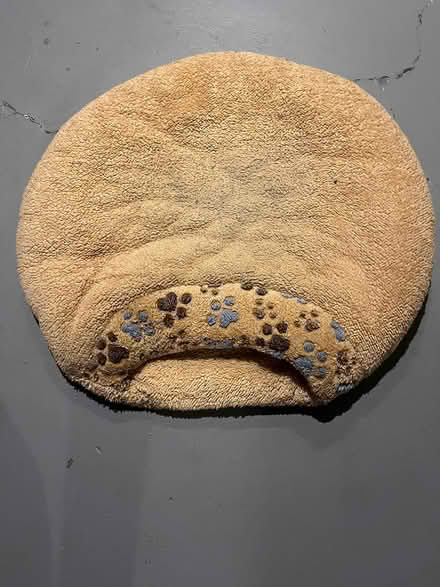 Photo of free Dog Bed (Maywood) #1