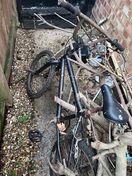 Photo of free BMX Bike (TW20) #1