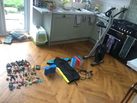 Photo of free Various Items - toys, leads, bike (BR3) #1