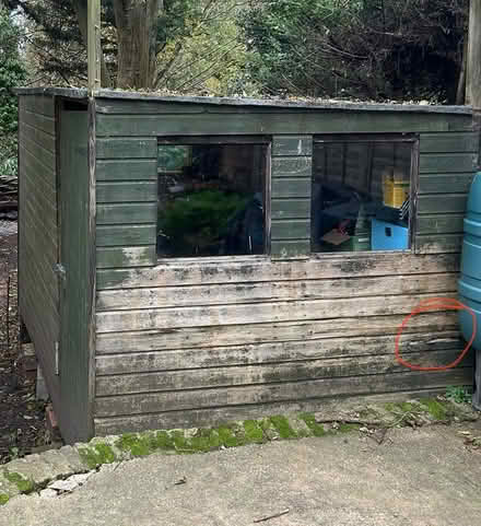 Photo of free Garden Shed (Hanwell W7) #1