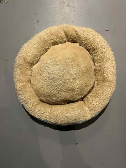 Photo of free Round Dog Bed (Maywood) #1