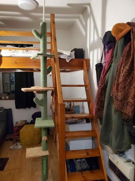 Photo of free Cat tree (Kentish Town West NW5) #1