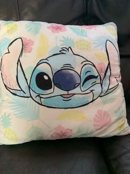 Photo of free Cushion (Belfast bt8) #1