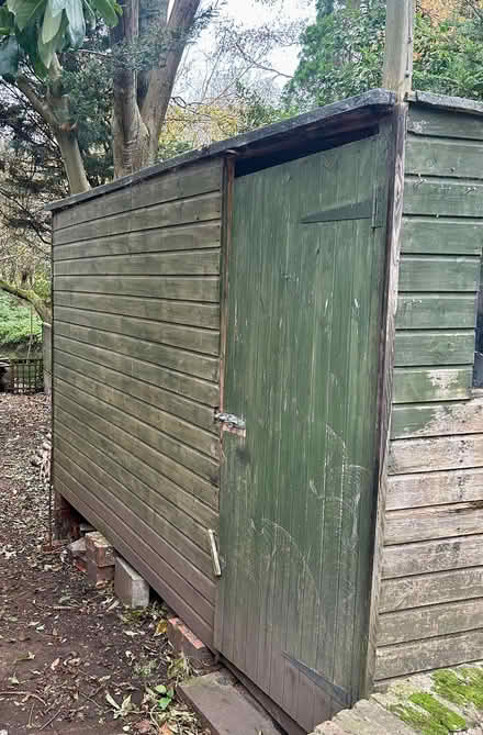 Photo of free Garden Shed (Hanwell W7) #3