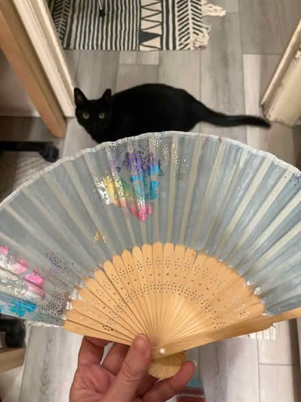 Photo of free Hand fan (Crown Heights) #1