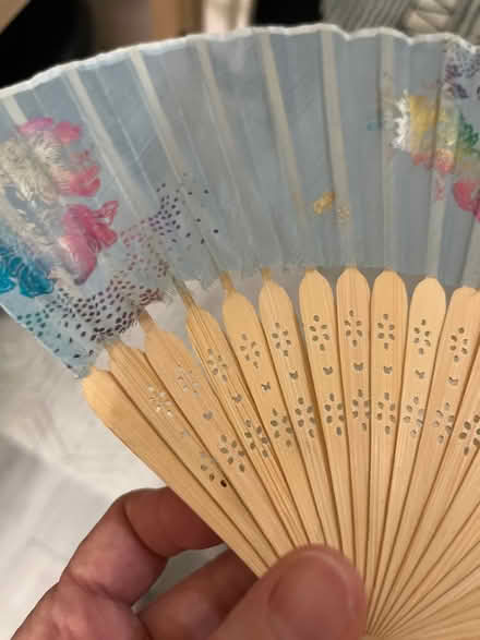 Photo of free Hand fan (Crown Heights) #2