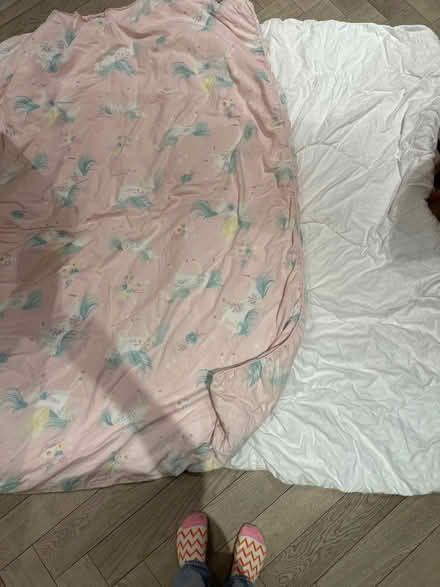 Photo of free Two lightweight single duvets (Beckenham, Kent) #1