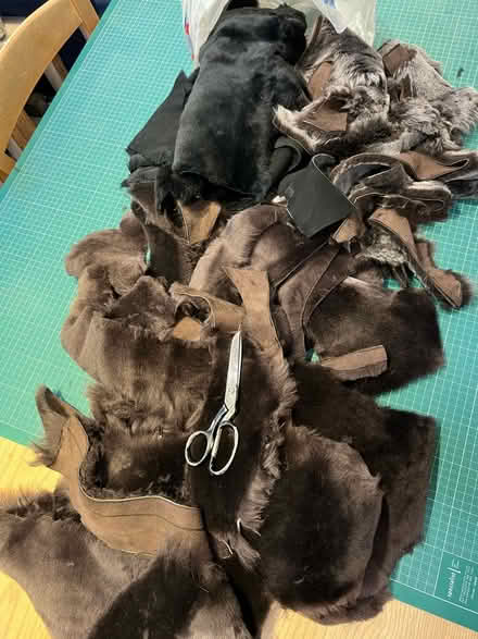 Photo of free Off-cuts of sheepskin (Peckham SE15) #1