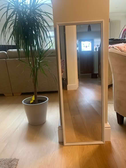 Photo of free Wall mirror (Earley) #1