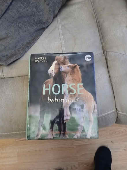 Photo of free Horse book (Gillingham ME7) #1