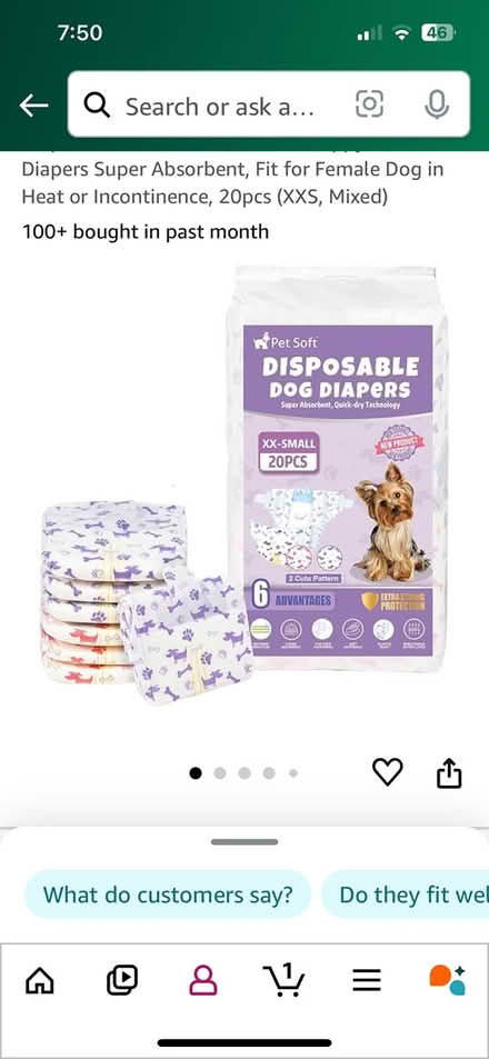 Photo of free Disposable Dog Diapers (Maywood) #1