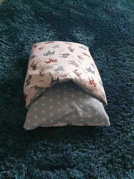 Photo of free Cat bed/hood (SM7 2) #1