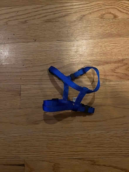 Photo of free Extra small dog harness (Maywood) #1