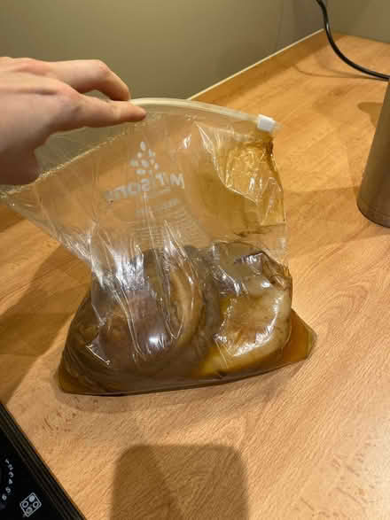 Photo of free Giant kombucha scoby (SE1) #1