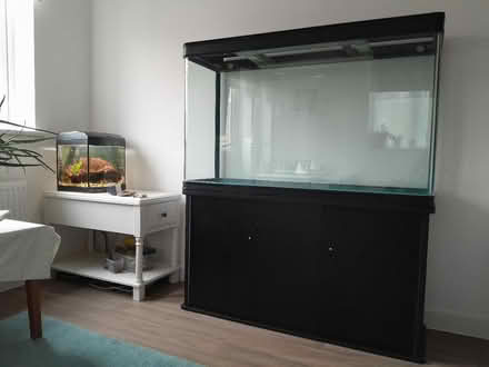 Photo of free Fish tank 300l (Hassocks) #1