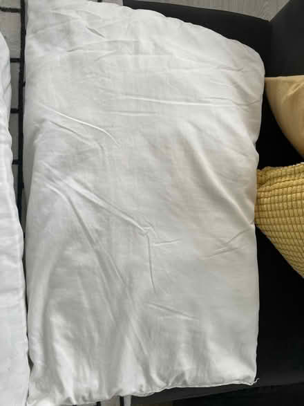 Photo of free 3 pillows (E1) #2