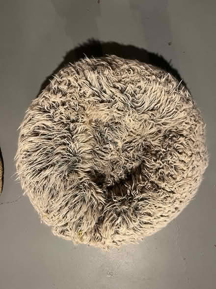 Photo of free Fluffy Dog Bed (Maywood) #1